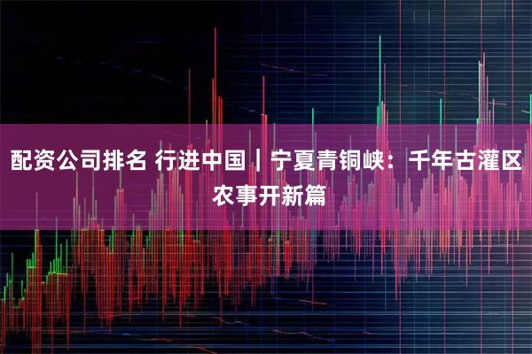 配资公司排名 行进中国｜宁夏青铜峡：千年古灌区 农事开新篇