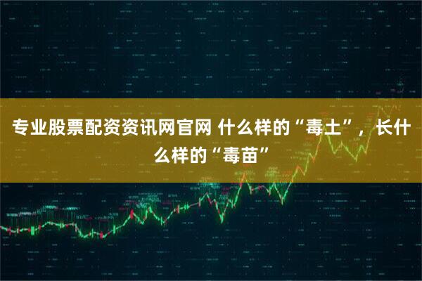 专业股票配资资讯网官网 什么样的“毒土”，长什么样的“毒苗”