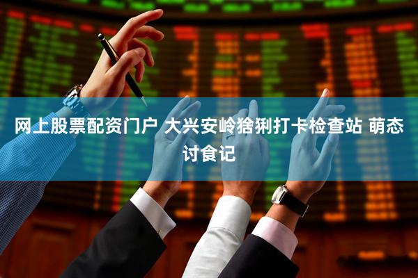 网上股票配资门户 大兴安岭猞猁打卡检查站 萌态讨食记